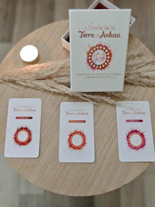 RESERVATION/CONSULTATION